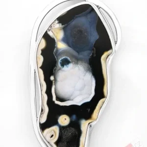 Extra velký stříbrný přívěsek (Ag 925/1000) s korálovcem QAA, cca 68 x 34 mm, "obrazy zkamenělé krásy z floridských hlubin", RARITA (KV3751P)